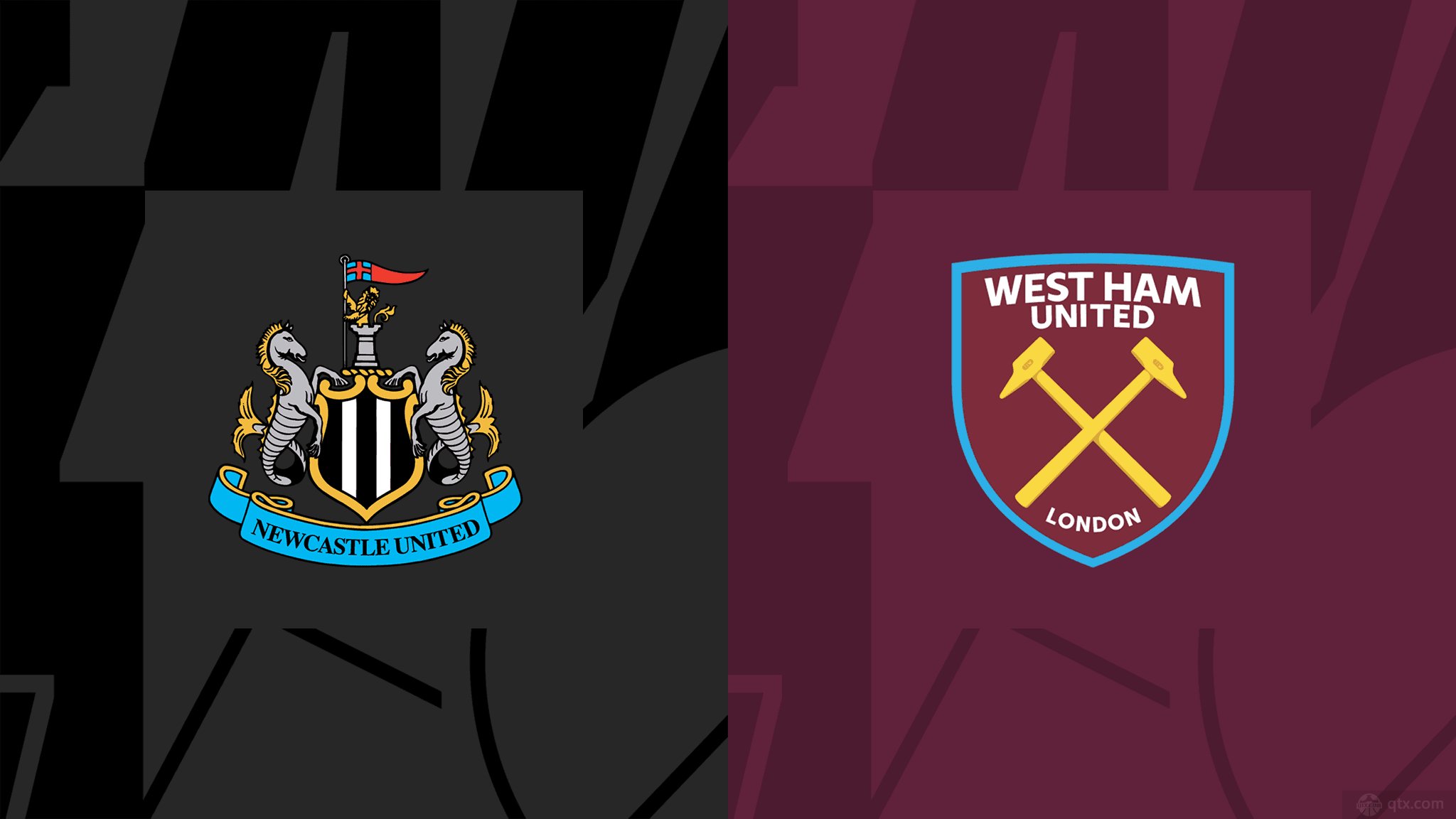 很快成长为 很快成长为