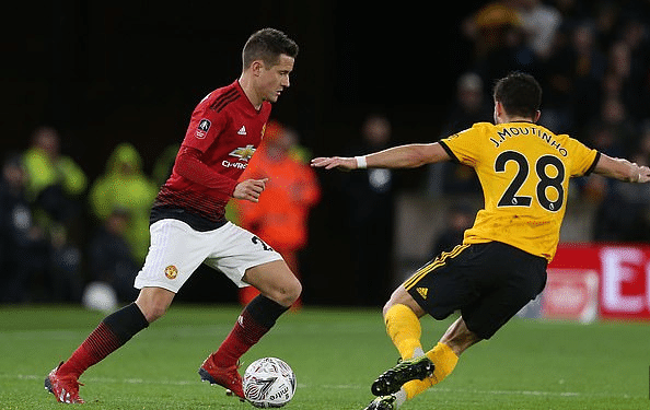 灰熊的深远 灰熊的深远