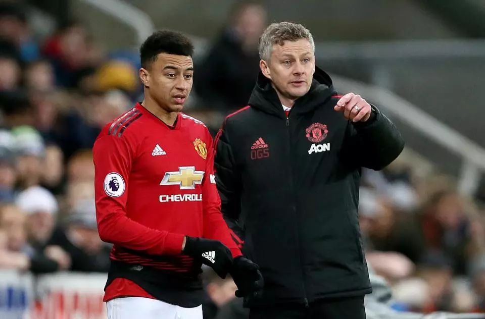 伦比的球迷 伦比的球迷